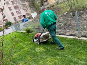 rasenmähen im abo aarau